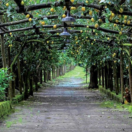 Agriturismo Il Convento Villa Massa Lubrense Kültér fotó