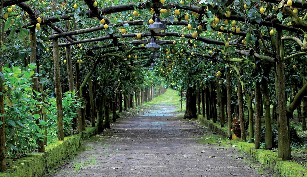 Agriturismo Il Convento Villa Massa Lubrense Kültér fotó